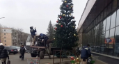 Зачем Подмосковье прямо сейчас массово скупает пензенские елки